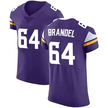 Nike Blake Brandel Men's Elite Minnesota Vikings Purple Team Color Vapor Untouchable Jersey