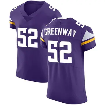 Nike Chad Greenway Men's Elite Minnesota Vikings Purple Team Color Vapor Untouchable Jersey