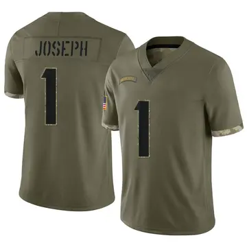 Nike Greg Joseph Men's Limited Minnesota Vikings Olive 2022 Salute To Service Jersey