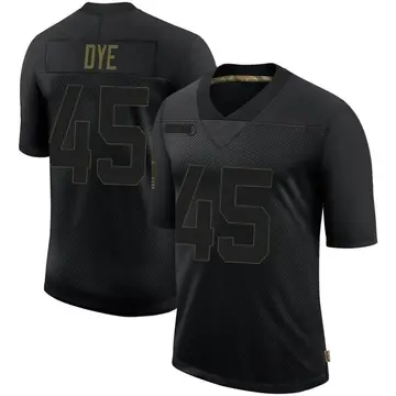 Nike Troy Dye Men's Limited Minnesota Vikings Black 2020 Salute To Service Jersey
